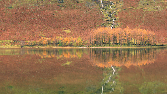 Buttermere Reflections