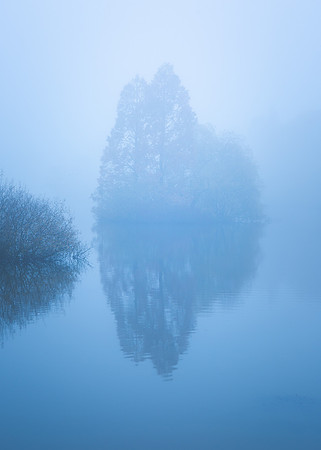Frosty Morning