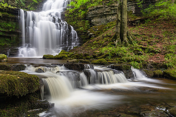 Scalber Force