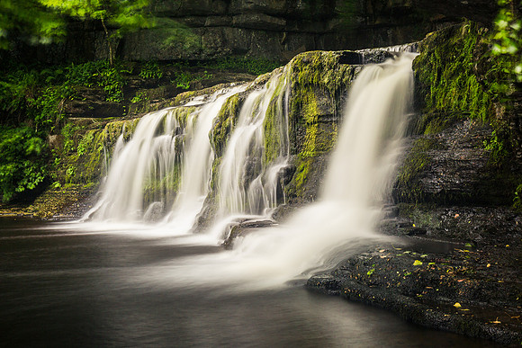 Cotter Force