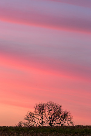 Cloud Strata, Garrowby Hill