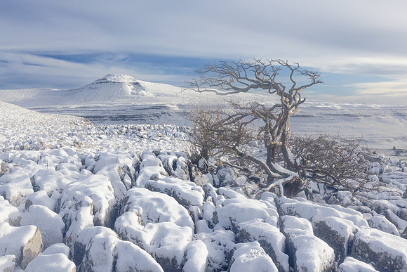 Ingleborough from Twistleton Scar