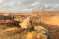Golden Hour at Karl Wark