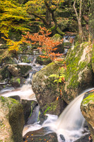 Padley Gorge in Autumn